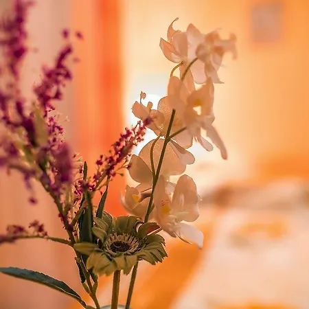 Pod Kopiencem 3* Zakopane