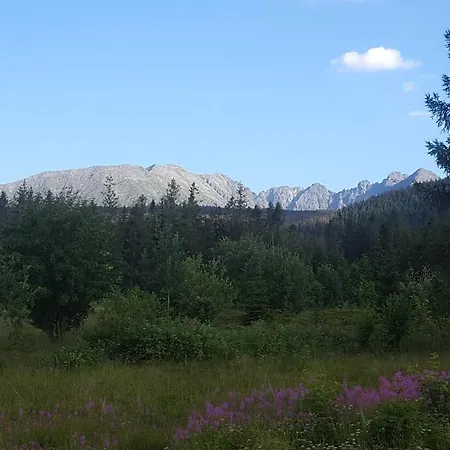 Pod Kopiencem Zakopane