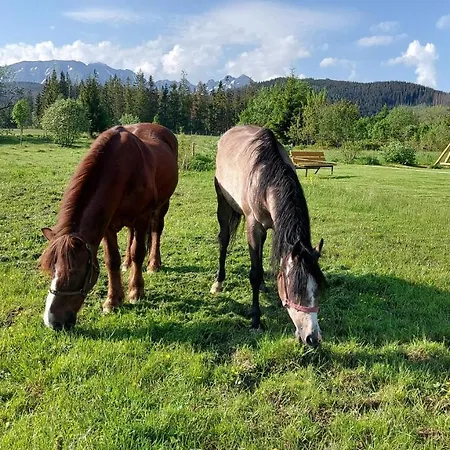 Pod Kopiencem Bed & Breakfast Zakopane